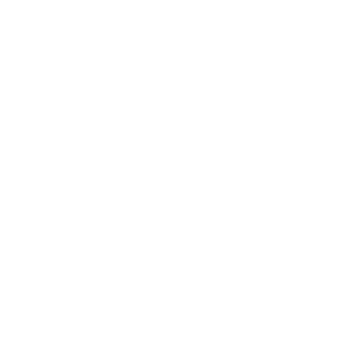 logo_decor ienne_negativo